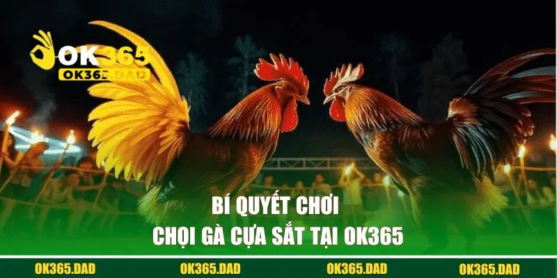 Bí quyết chơi chọi gà cựa sắt tại OK365