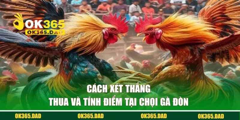 Cách xét thắng thua, tính điểm tại chọi gà đòn