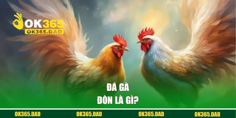 Đá gà đòn là gì?